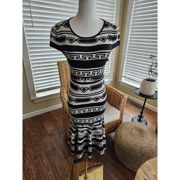 ALICE & OLIVIA Dress Sz XS Black Ivory Sweater Stripe Darby Knit Aztec Drop - Picture 1 of 6